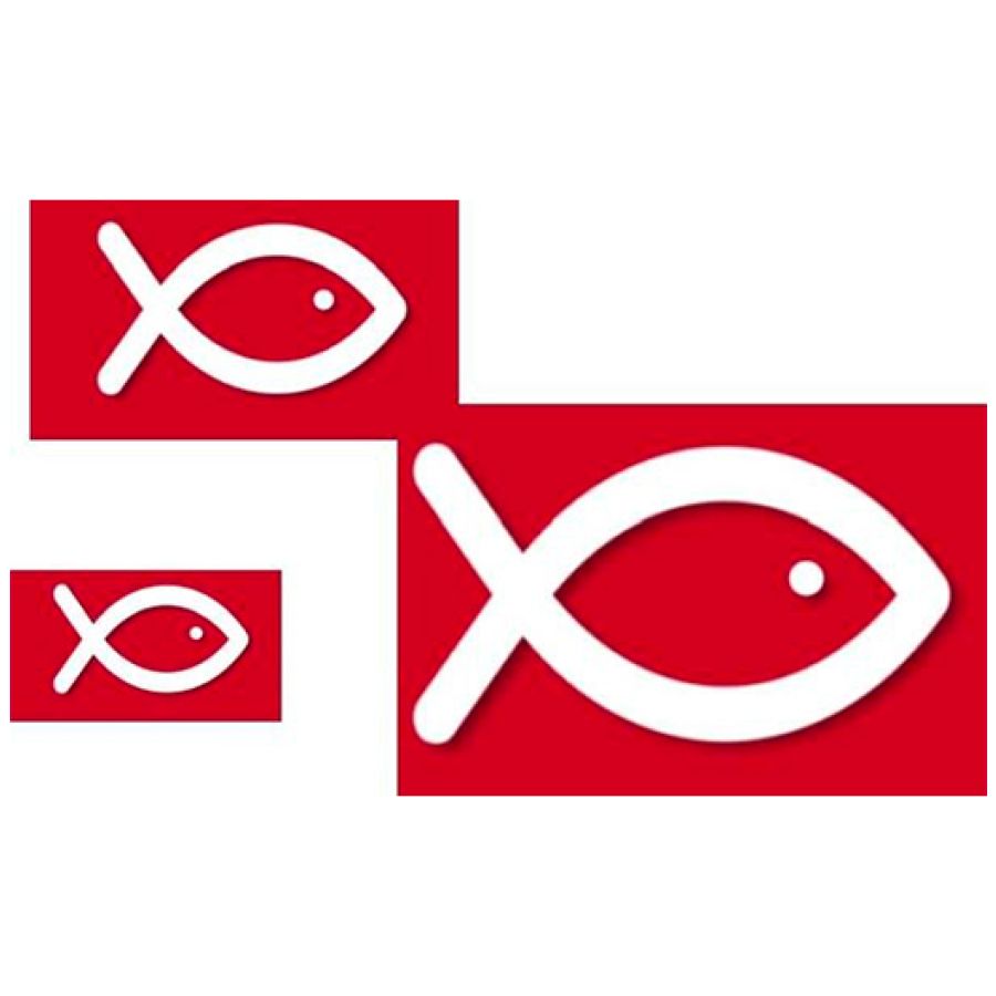 RedFish4Listing (gruppo RedFish) vara aumento di capitale da 3 mln euro per investire in ipo e pre-ipo